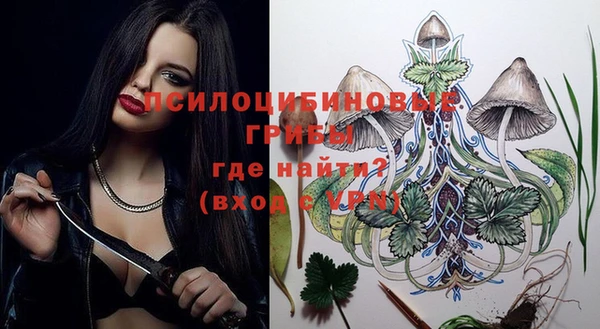 стафф Алексин
