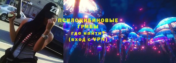 стафф Алексин