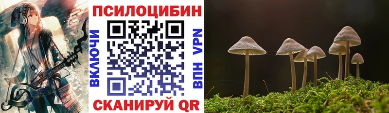 Псилоцибиновые грибы GOLDEN TEACHER цена наркотик Монино